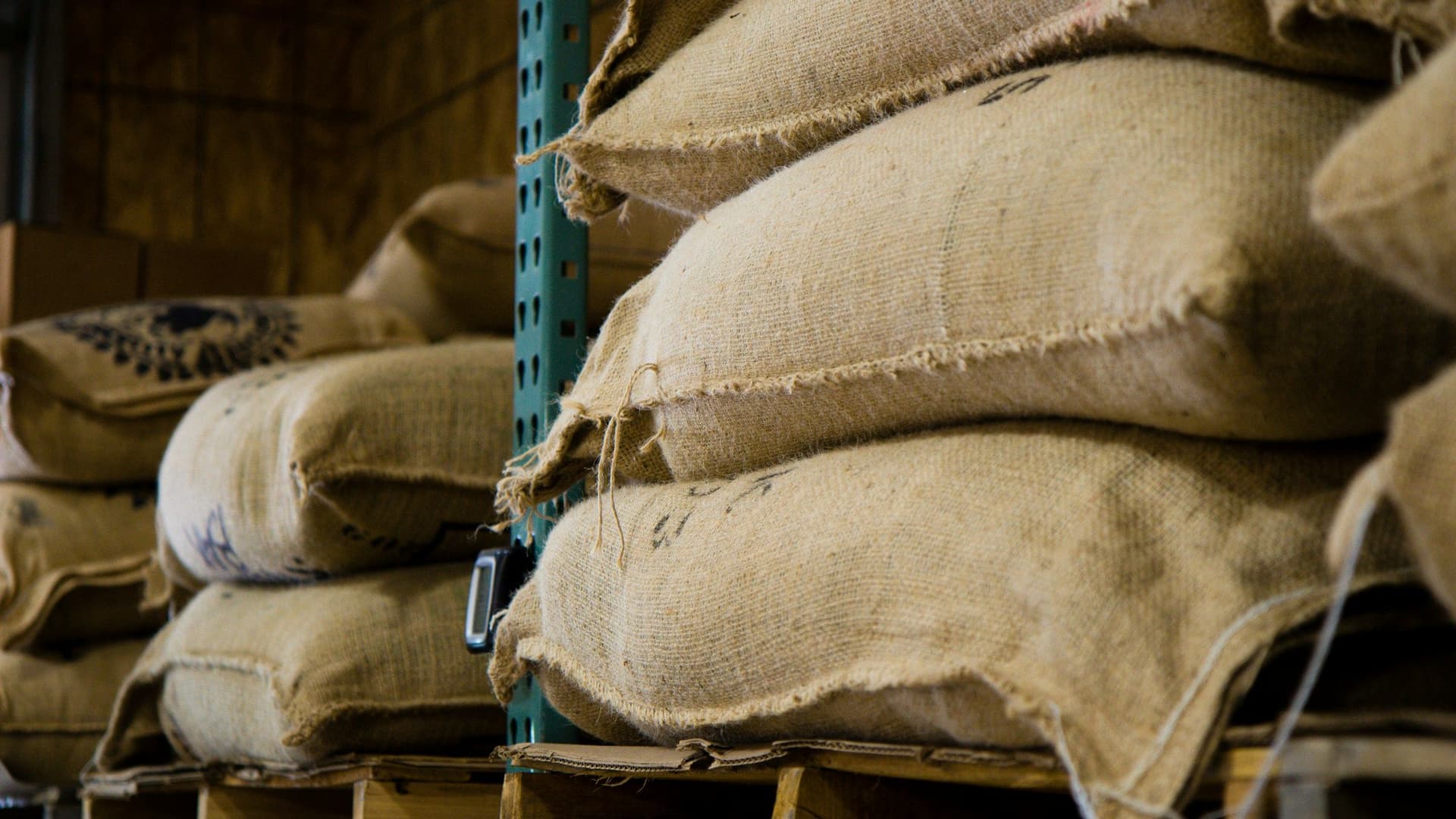 Stacked jute sacks of coffee beans on wooden pallets in a warehouse