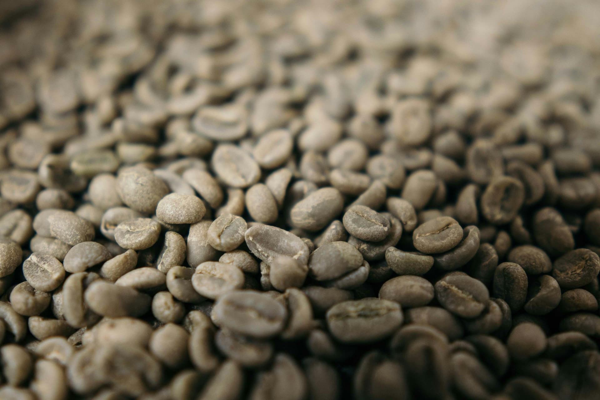 Close-up of raw, unroasted green coffee beans
