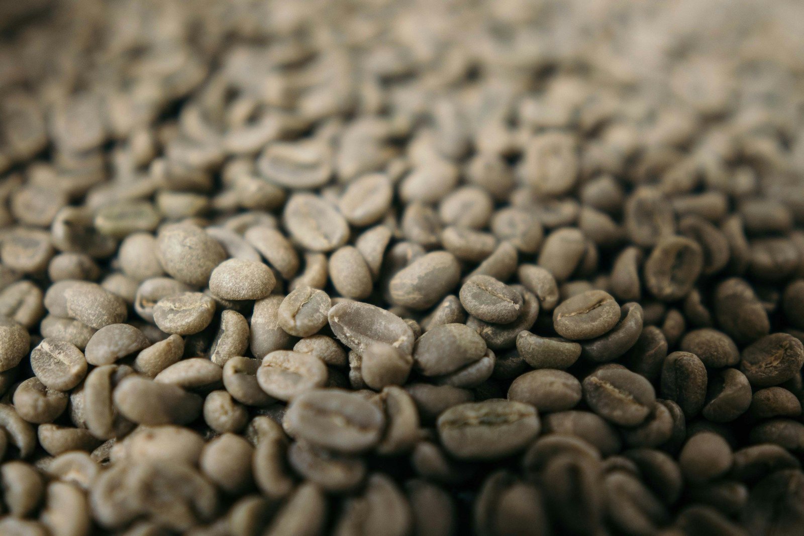 Raw green coffee beans ready for export
