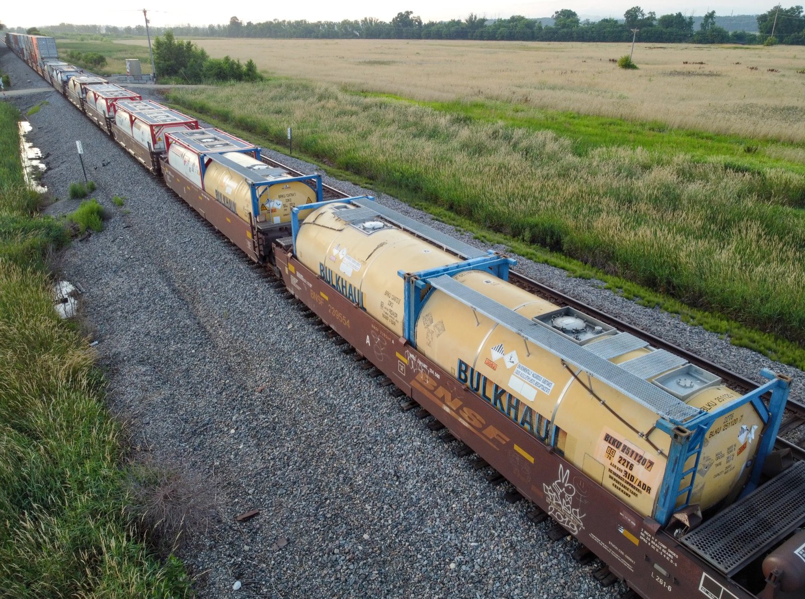 ISO tank containers on rail representing the two vessel options for edible oil bulk shipping
