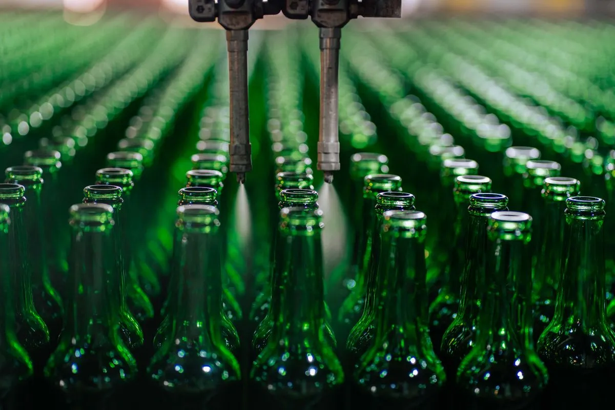Green glass bottles being filled on an automated olive oil bottling line — wholesale olive oil production
