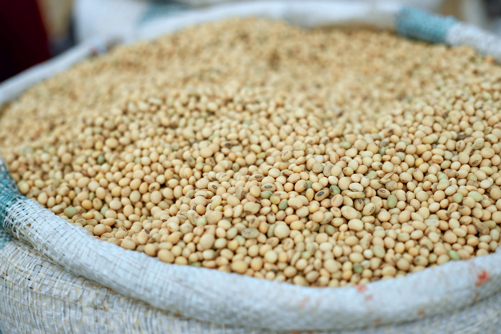 Non-GMO Soybeans